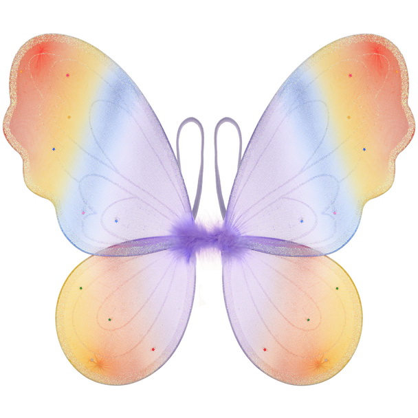 Rainbow fairy wings