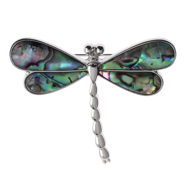 Natural dragonfly brooch