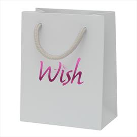 Retail gift bag